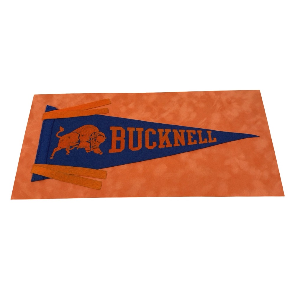 Antique Bucknell University Bison Felt Pennant 1960s Blue Orange on Background